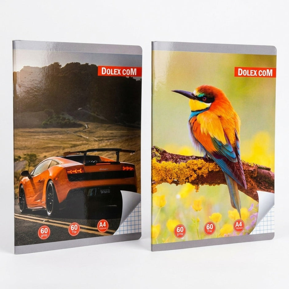 Caiet A4 matematica, 60 file, 60 g/mp — 1 caiet