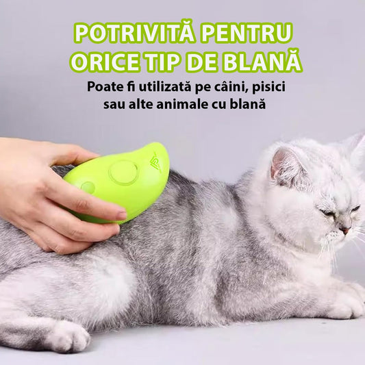 Perie 3 în 1 cu Aburi pentru Animale de Companie, Reîncărcabilă USB, Verde - 2