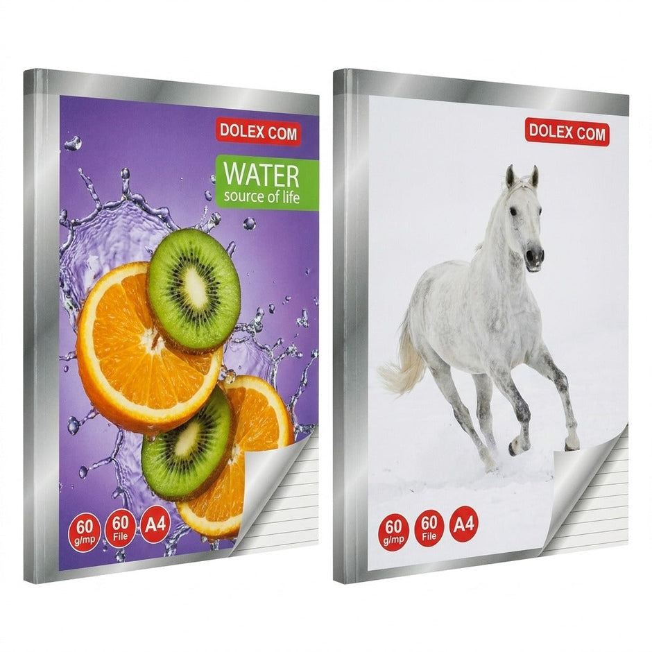 Caiet A4 dictando, 60 file, 60 g/mp — 1 caiet